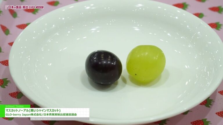 [„JAPAN'S FOOD“ EXPORTMESSE WINTER 2024] Muscat Noal (Black Shine Muscat) - GLO-berry Japan, Inc.